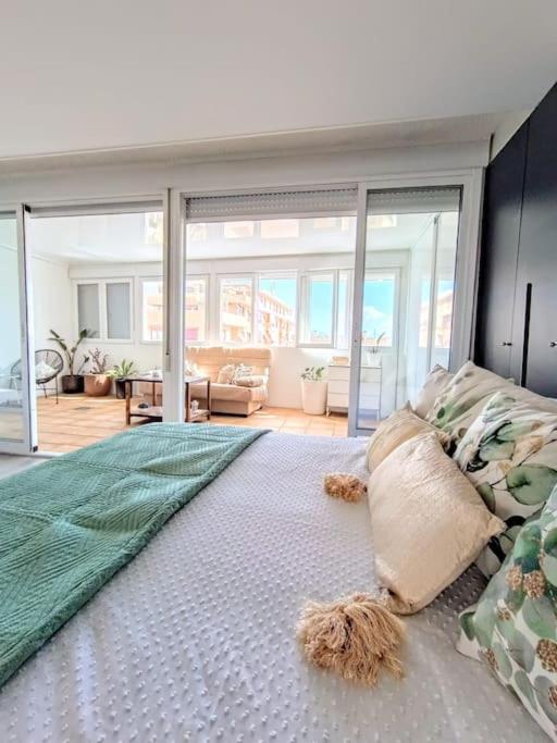 Spacious Studio By The University San Vicente Raspeig エクステリア 写真
