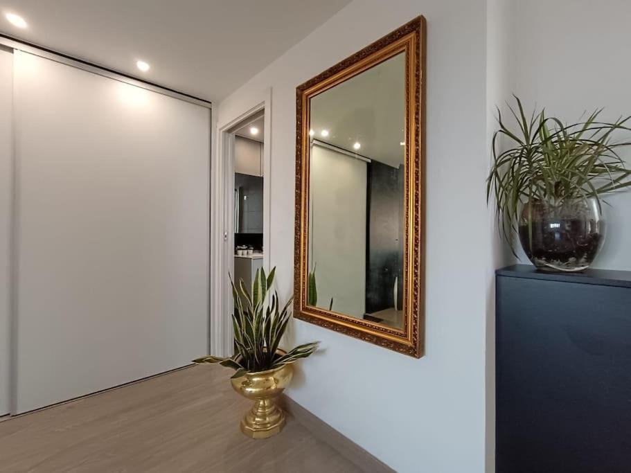 Spacious Studio By The University San Vicente Raspeig エクステリア 写真